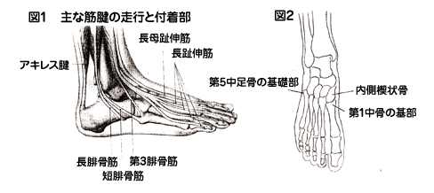 じんない接骨院 鍼灸院 整骨院 接骨院 肉離れ 野球肘 スポーツ障害 捻挫 靭帯損傷 鍼灸院 大阪市の接骨院 都島区の接骨院 都島駅周辺の接骨院