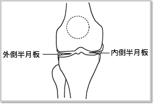 ���ʂ��猩���}