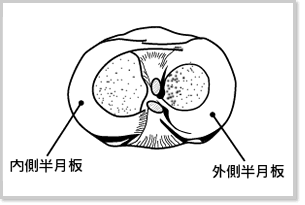 ������猩���}