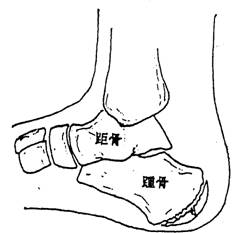 �����X�[��